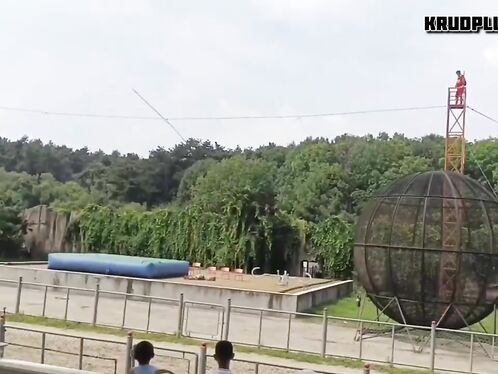 Acrobat Is In Intensive Care After Falling