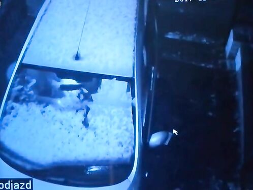 Thieves Took Just 12 Seconds To Break Into Family Car