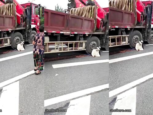Woman Calmly Makes Final Decision Under Truck Tire