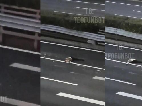 Man Hit By Car But No One Cares