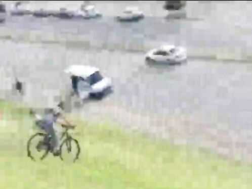 We Love To Celebrate