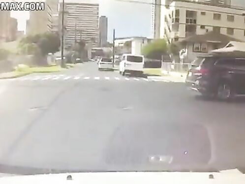 Honolulu Woman Didn't Realize Dog Jumped Out Of Window