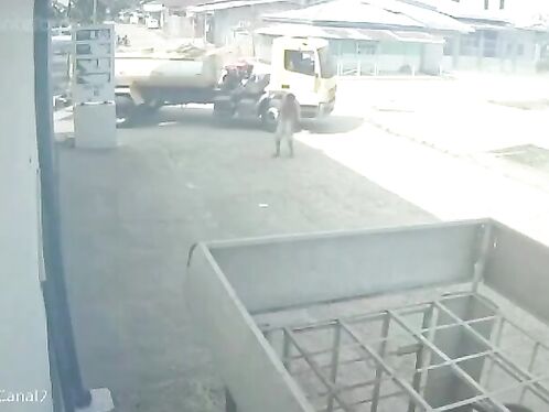 While Mowgli Was Browsing Pornhub In The Middle Of The Street