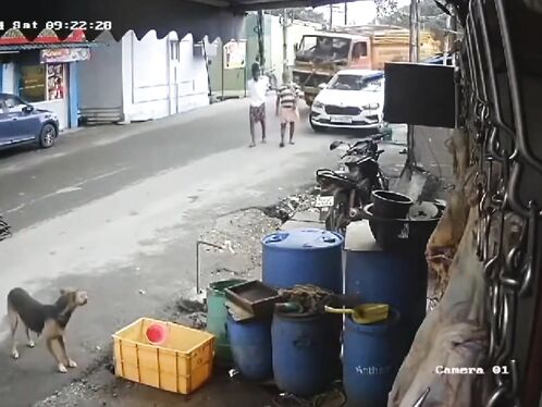 One Less Piece Of Street Shit In The World