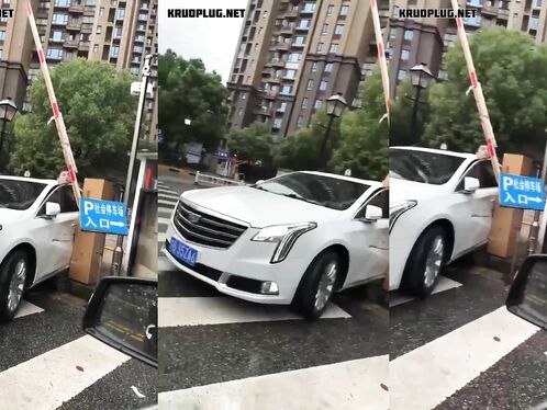 Man Dies After Being Trapped In Car Door