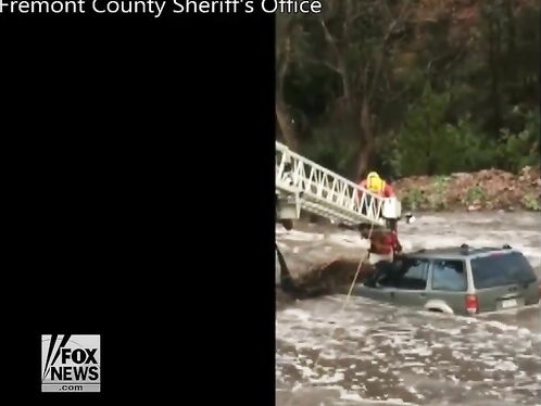 A Driver And His Dog Were Dramatically Rescued From The Water