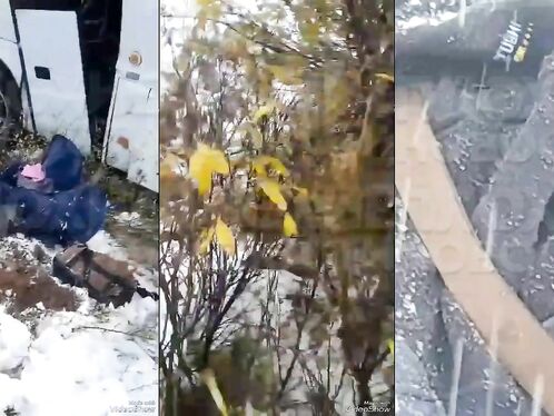 The Bus Driver Fell Asleep