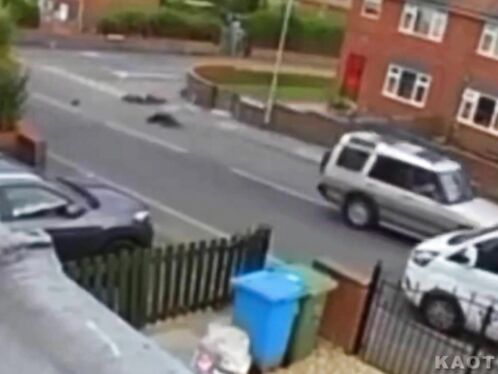 The Cyclist Didn't Look Both Ways.