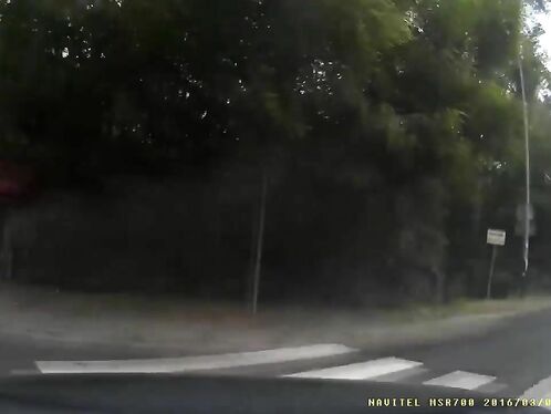 The Driver Turned Too Fast And Skidded Off The Road.