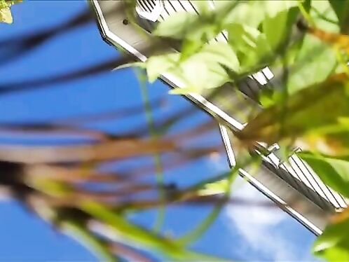 The Pilot Encountered Turbulence And The Phone Fell From 1,000 Feet Into A Man's Backyard