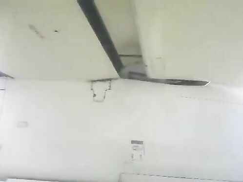 The Deer Tried To Run Onto The Runway But Was Hit By A Plane