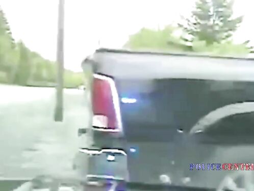 Miramichi Police Officer Crashes Into Utility Pole