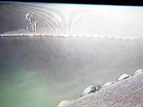 Horrifying Moment Dancing Tourist Is Struck By Lightning