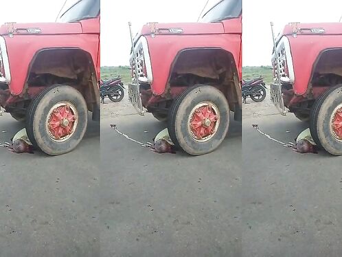 Elderly Man Dies After Falling Under Truck