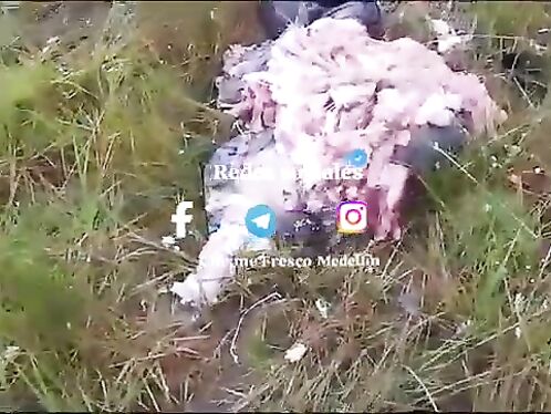 Colombian Air Force Helicopter Crash Kills Eight