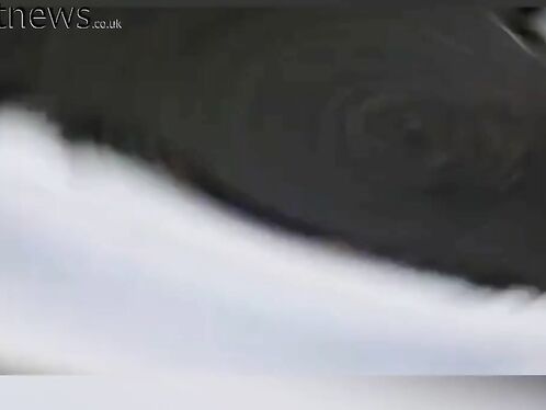 Swearing Cyclist Suffers Life-changing Injuries