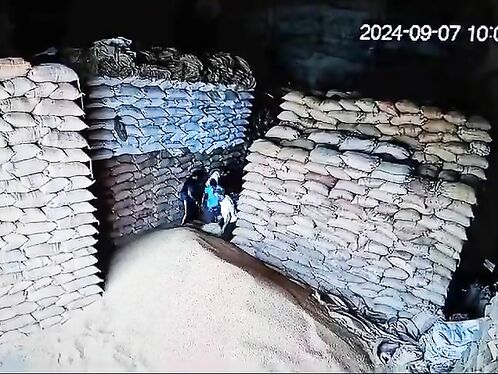 Warehouse Worker Buried Under Fallen Wheat Sacks