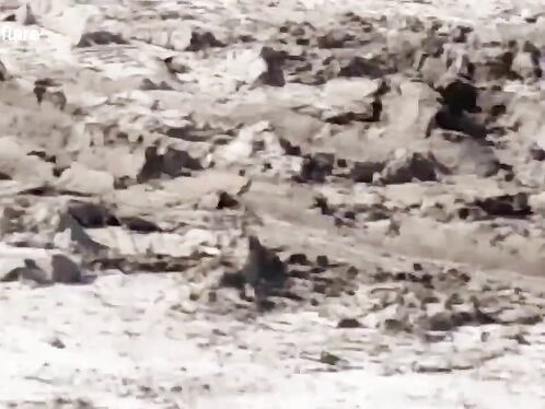 Truck Explodes In Florida Accident