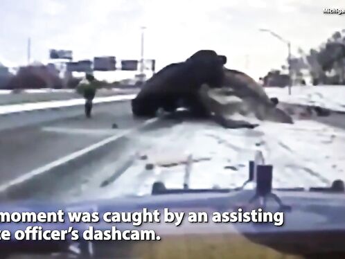 Tow Truck Driver Nearly Caused An Accident