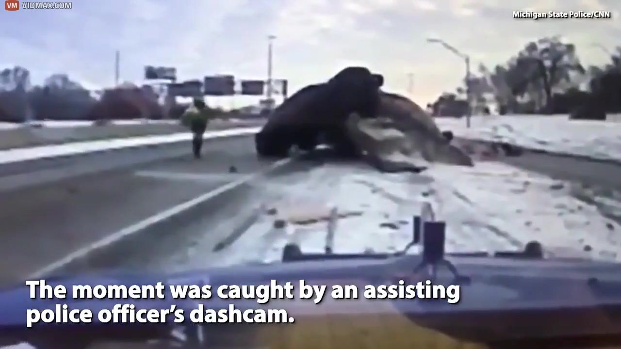 Tow Truck Driver Nearly Caused An Accident