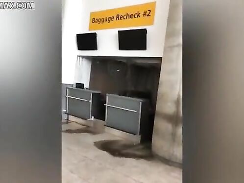 Shock: Water Floods JFK Airport After Pipeline Explodes