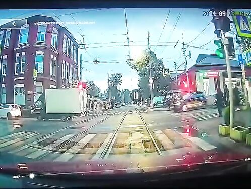 Chicken Loses Both Legs In Car Accident