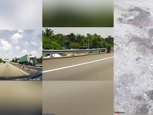 Cyclist Brutally Dismembered By Partition