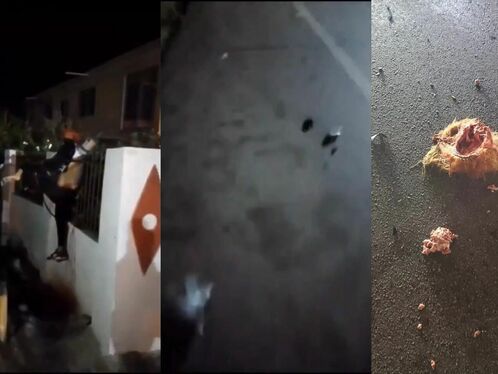 One Cyclist Was Impaled On A Fence And Another Was Torn To Pieces