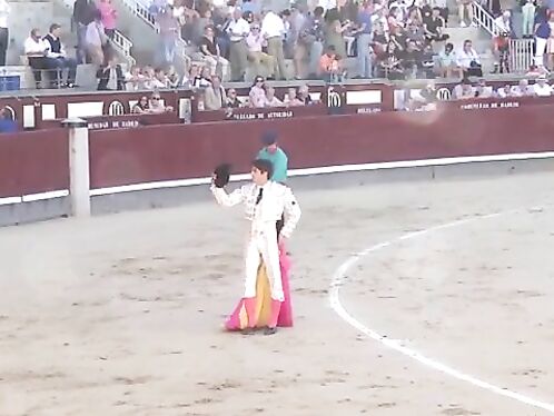 The Bull Seriously Injured Two Matadors, One Of Whom Had A Scrotal Injury