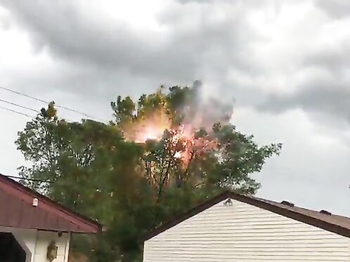 The Tree Next To The Power Line Is On Fire