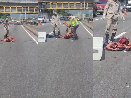 The Woman's Body Was Completely Dismembered And Broken