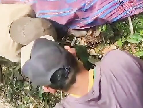 Man Crushed To Death By Tree