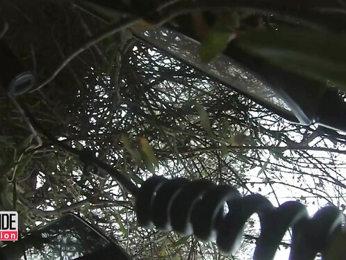 Watch This Biker Fell Straight Off A Cliff And Survived