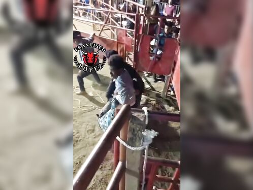 Brutal Bull Attack Compilation