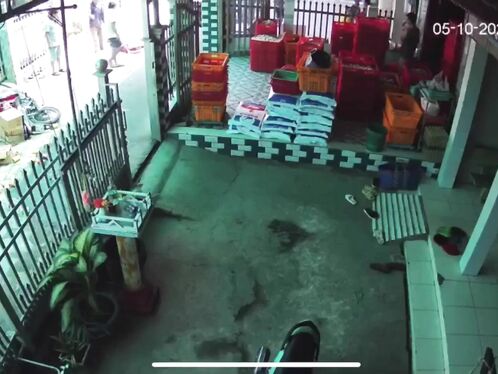 Vietnamese Girl Died Tragically