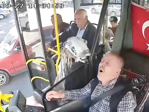 Bus Driver Dies Behind The Wheel S.Morden, E