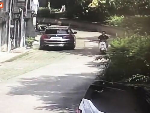 Dead Tree Falls And Hits Motorcyclist