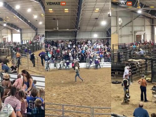 Angry Bull Jumps Into Crowd At Florida State Fairgrounds In California