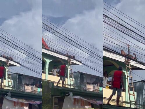 Construction Worker Dies After Accidentally Touching A Living Person