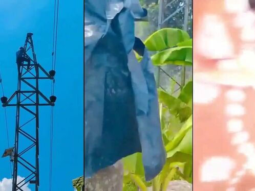 An Idiot Climbed Up A High Voltage Support And Touched It
