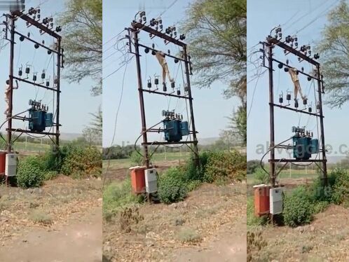 Another Idiot Got Electrocuted