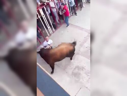 Father Dies After Being Gored By 84th Bull In Horror