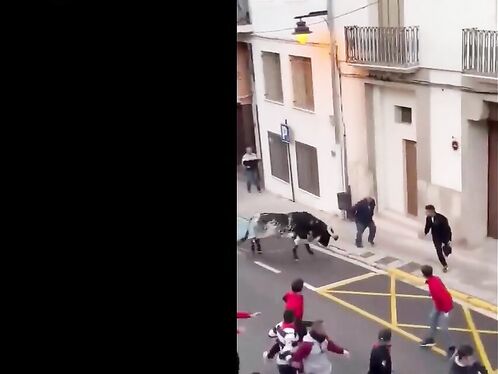 Horrifying Video Shows 82-year-old Man Being Sprayed By Bull