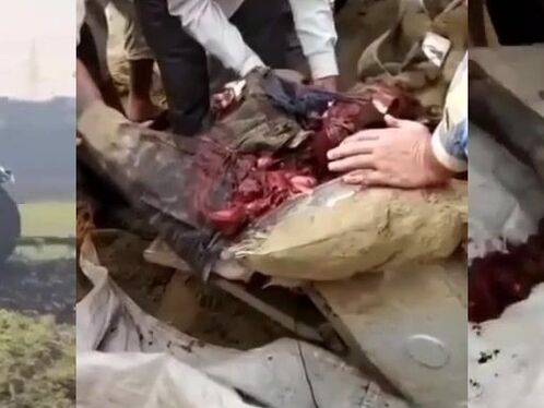 The Tractor Driver Fell Under The Wheels And Then Entered The T