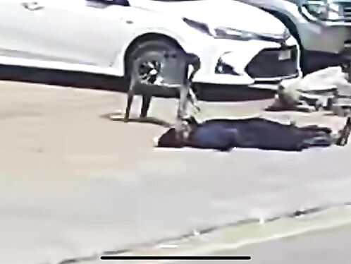 Security Guard Accidentally Shot Himself