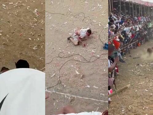 The Bull Uppercut A Man In The Eye Socket