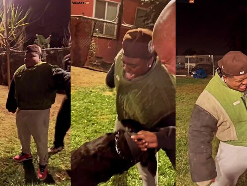 Brothers Learned That Being A Dog Training Dummy Is A Painful Thing -