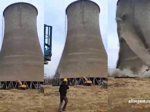 The Excavator Driver Is Either A Very Brave Man Or A