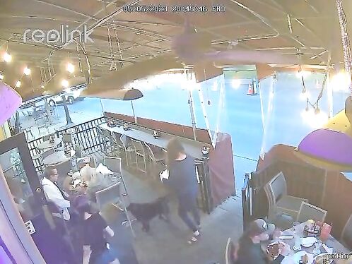 Driver Turns Himself In After Accident In Loveland Terrace