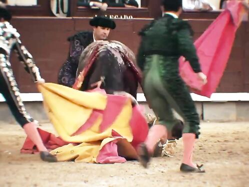 Mexican Bullfighter Arturo Giglio Gored By Bull In Spain